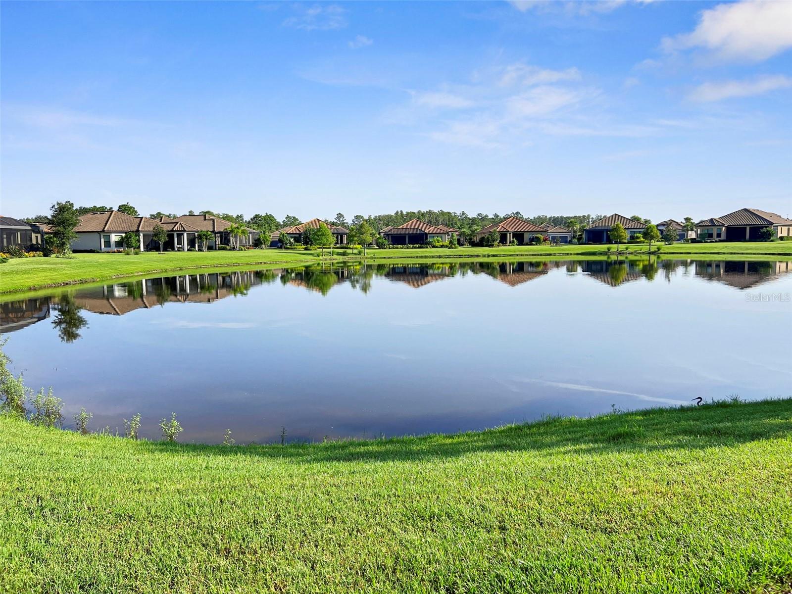 ESPLANADE/STARKEY RANCH PH 4 - Residential