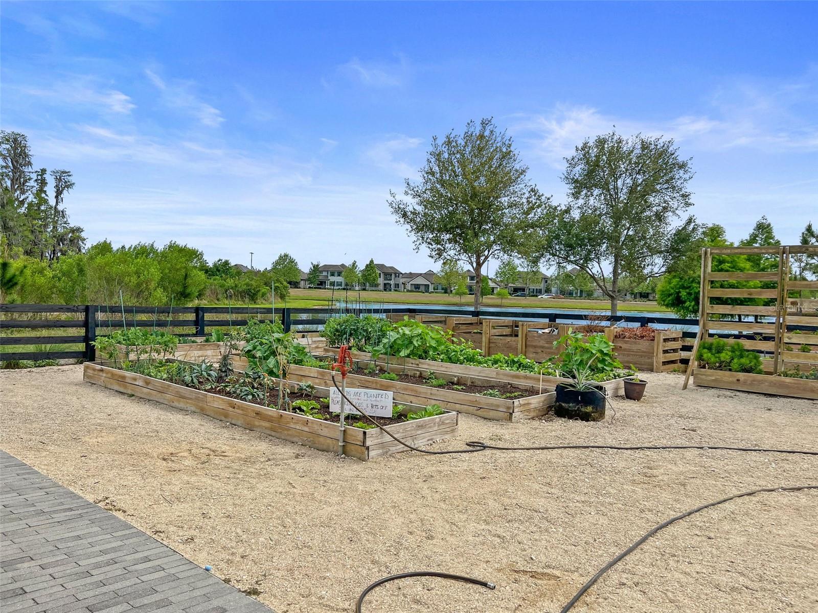 ESPLANADE/STARKEY RANCH PH 4 - Residential