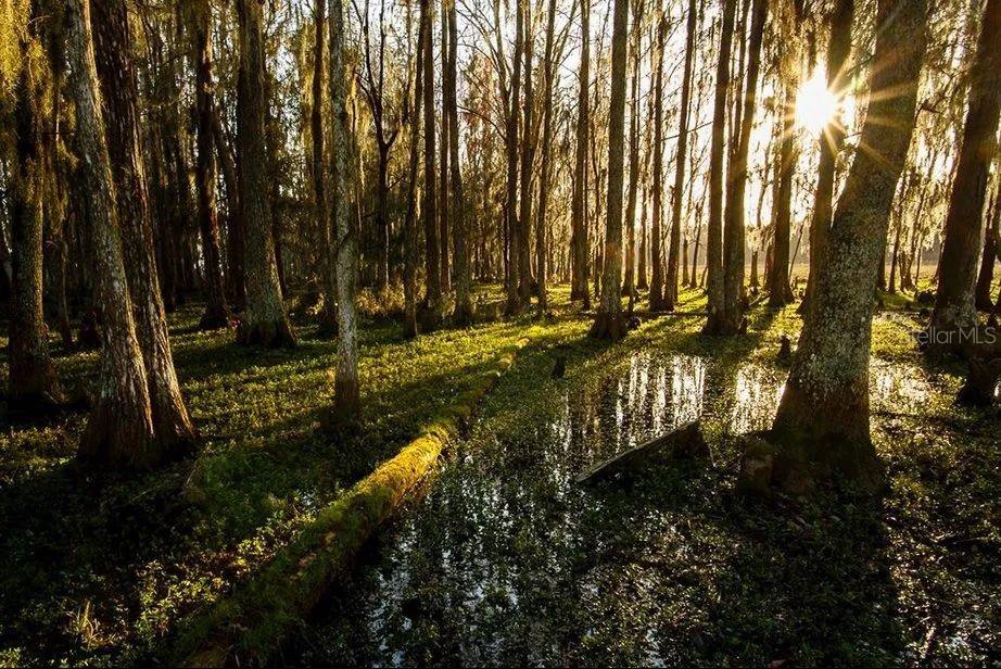 ESPLANADE/STARKEY RANCH PH 4 - Residential