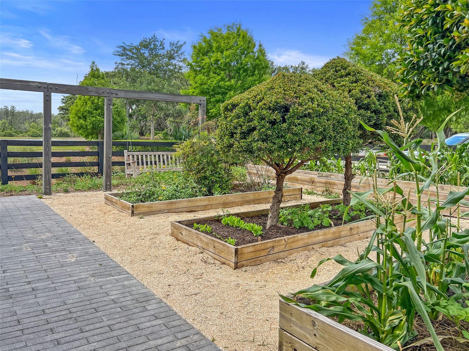 ESPLANADE/STARKEY RANCH PH 4 - Residential