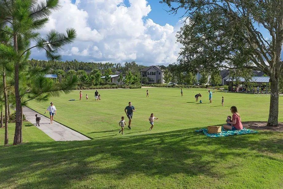 ESPLANADE/STARKEY RANCH PH 4 - Residential