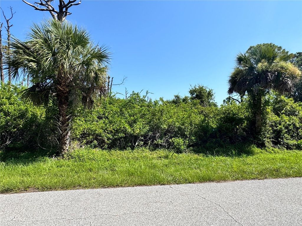 Photo of 12420 Sunniland Avenue, Port Charlotte, FL 33981 (MLS # C7512405)