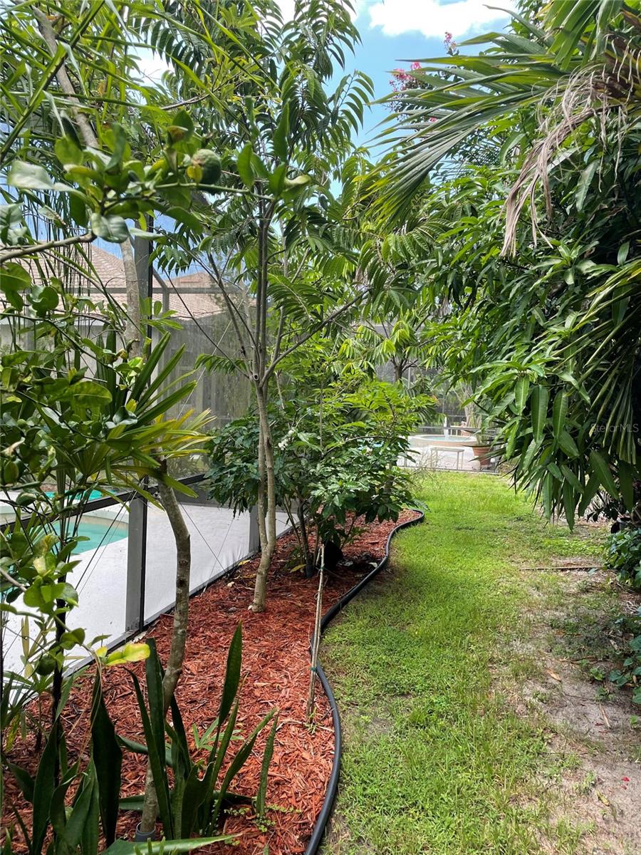 RIVENDELL WOODLANDS - Residential