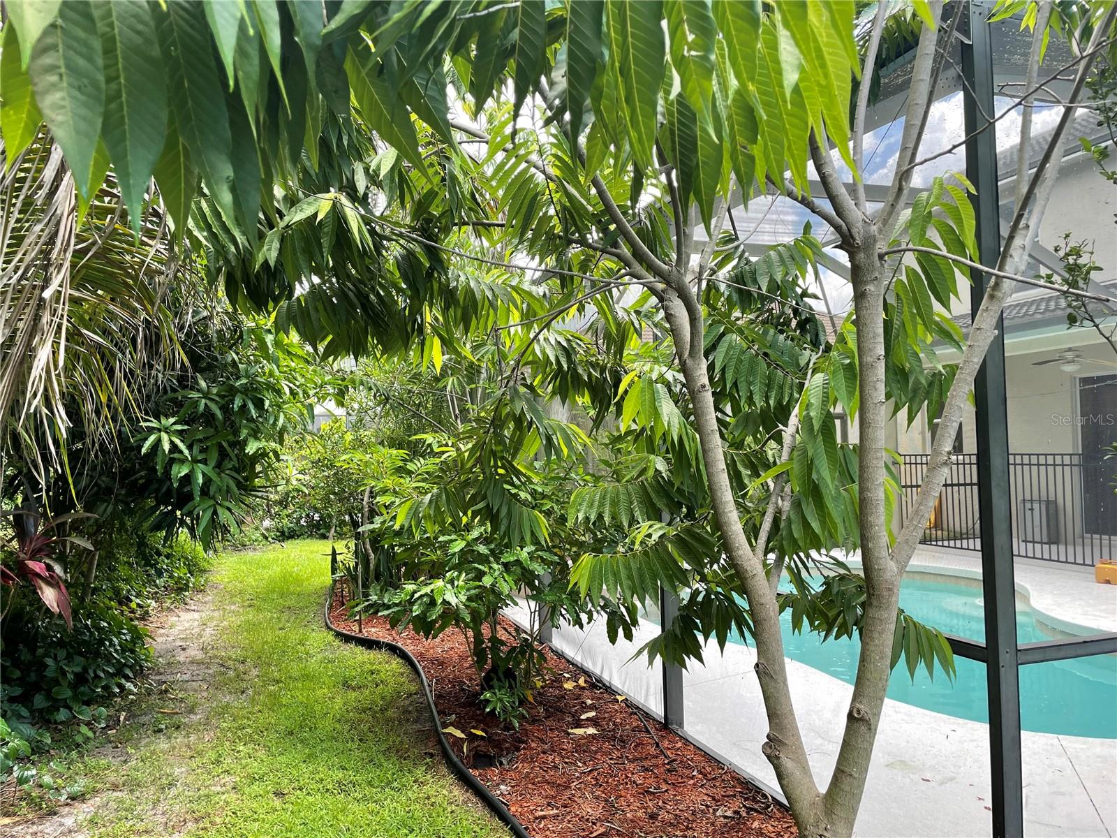 RIVENDELL WOODLANDS - Residential