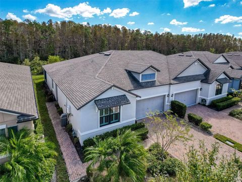 A home in LAND O LAKES