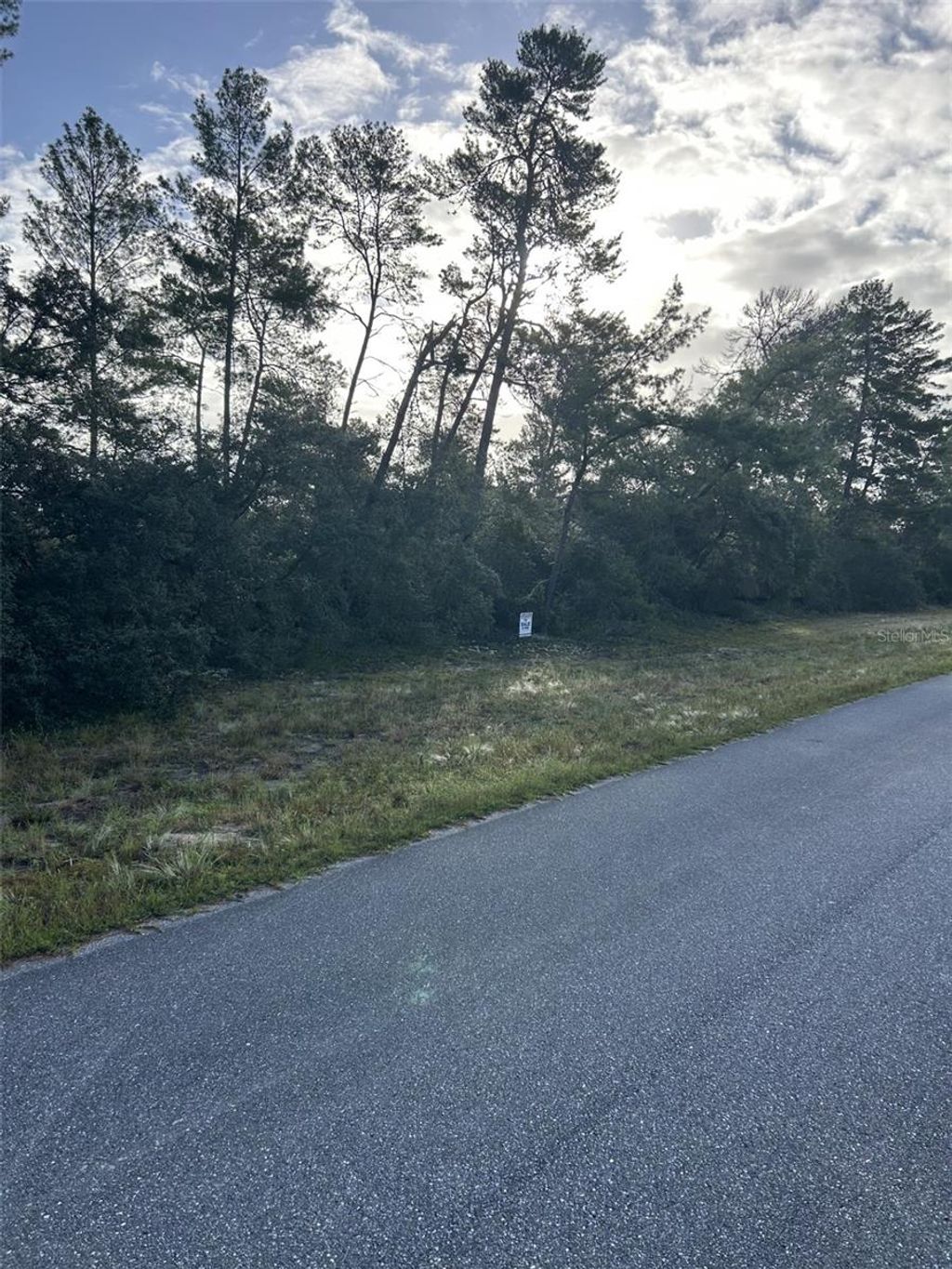 Photo of 17213 SW 28th Avenue, Ocala, FL 34473 (MLS # TB8440973)