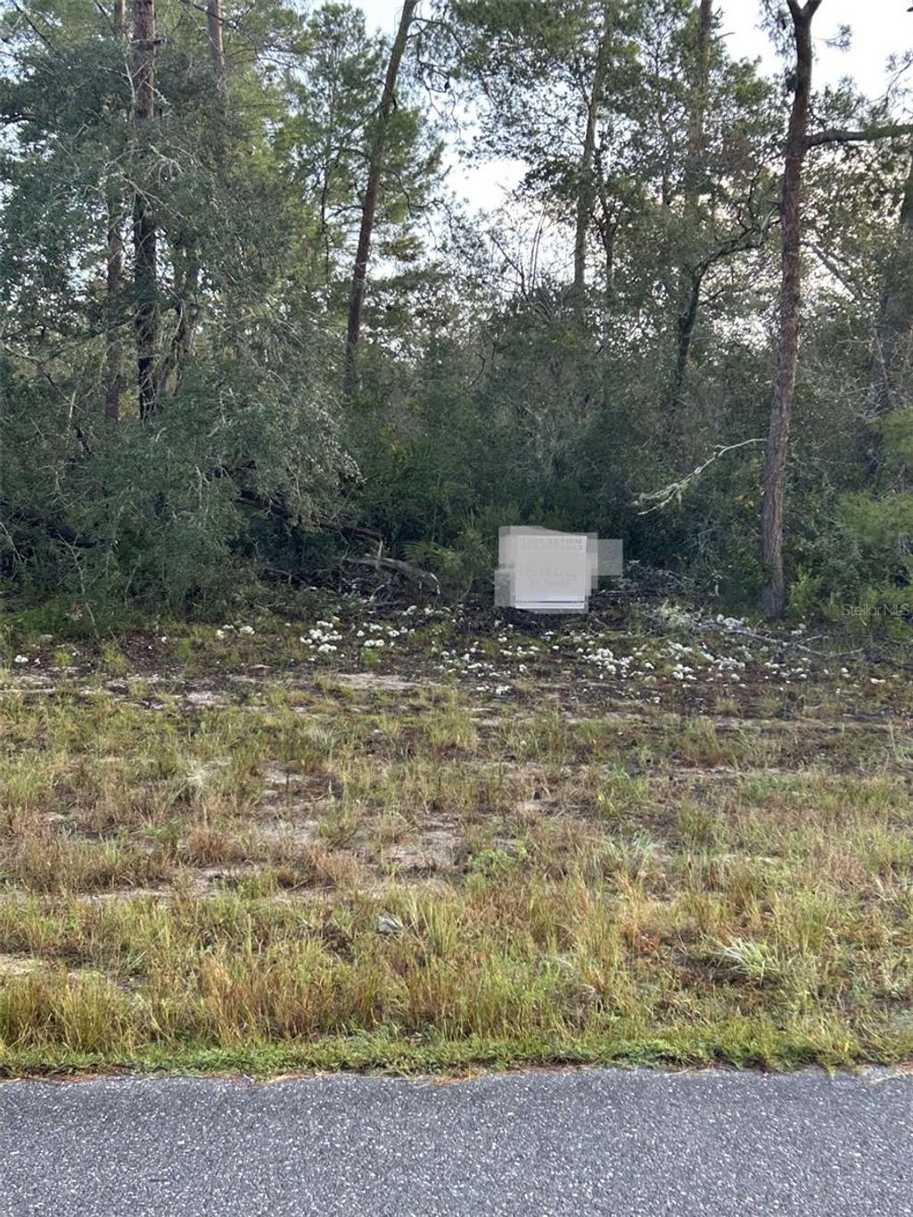 Photo of 17213 SW 28th Avenue, Ocala, FL 34473 (MLS # TB8440973)