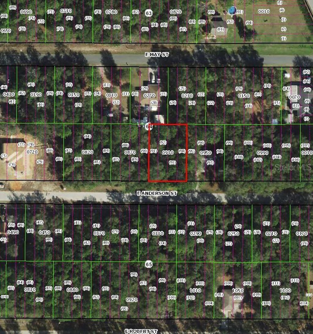 Photo of 3301 E Anderson Street, Inverness, FL 34453 (MLS # TB8499976)