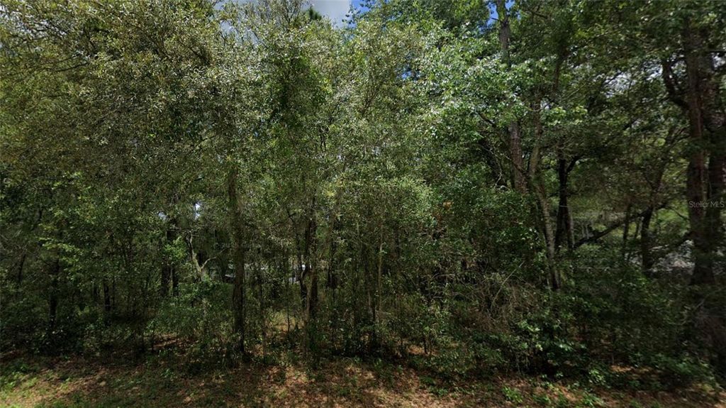 Photo of 3301 E Anderson Street, Inverness, FL 34453 (MLS # TB8499976)