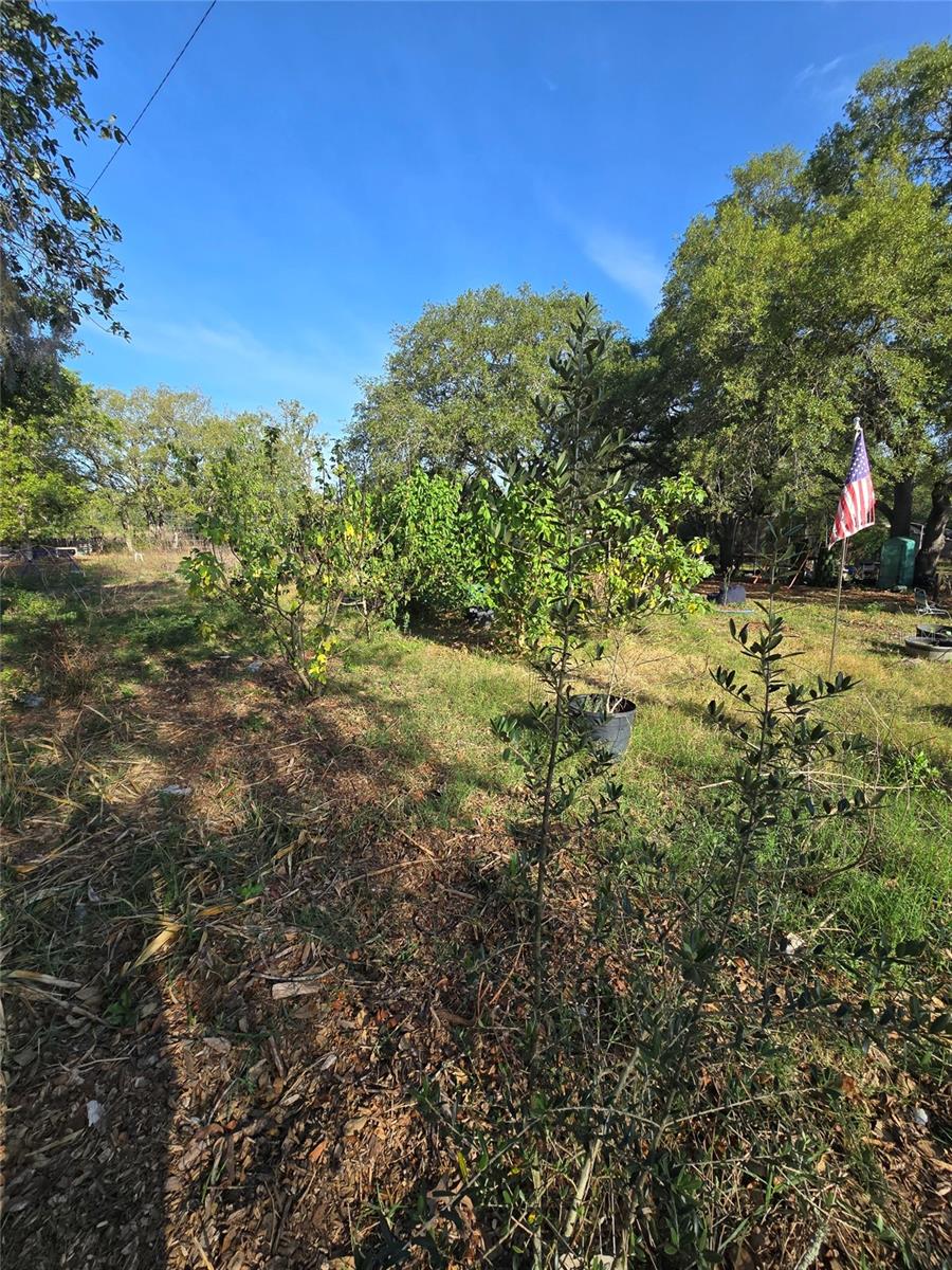 ACREAGE - Residential