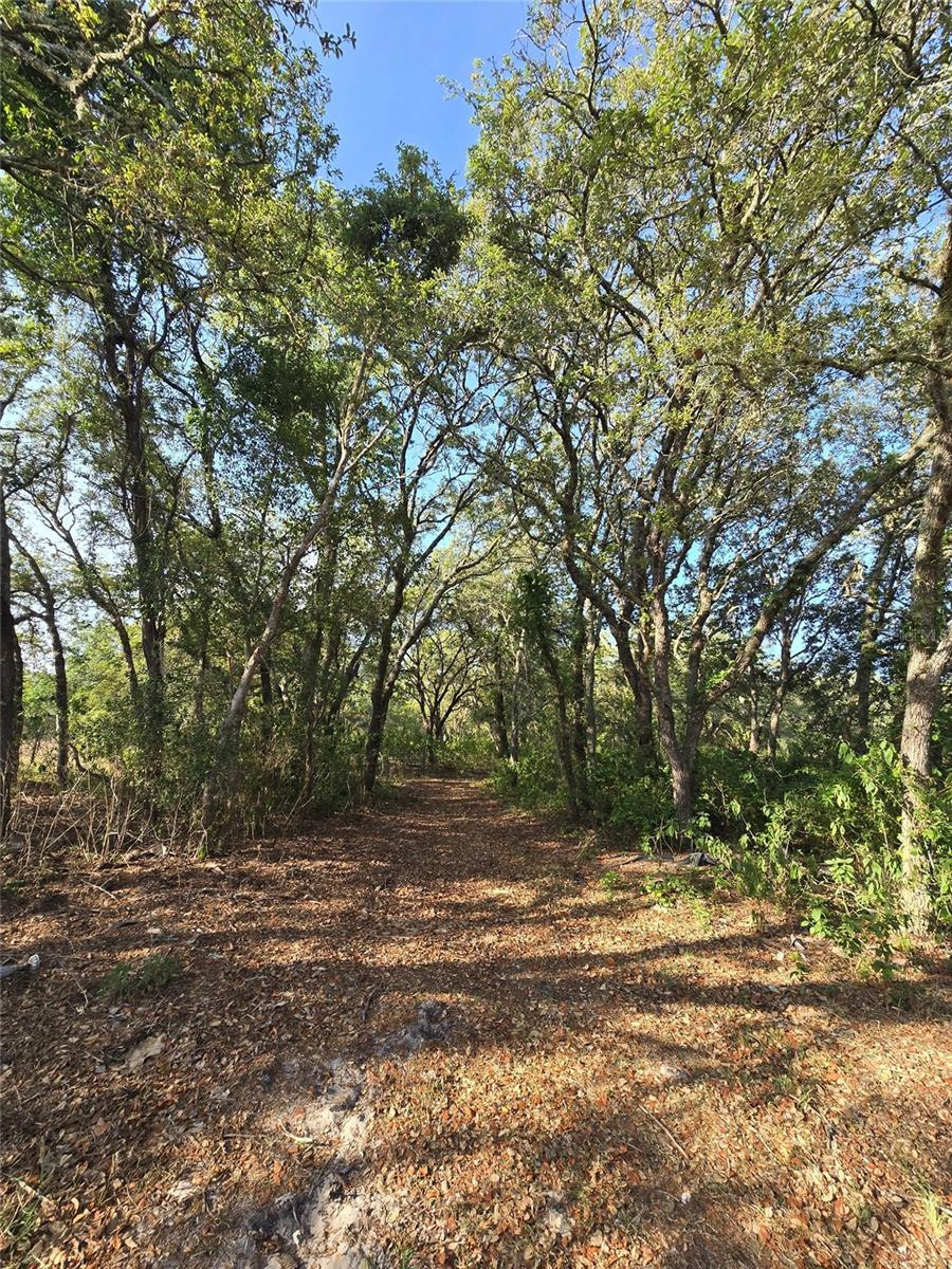 ACREAGE - Residential