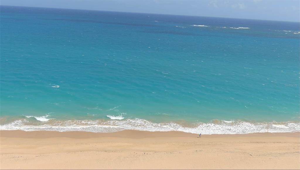 OCEAN PARK, STEPS TO BEST BEACH - Residential