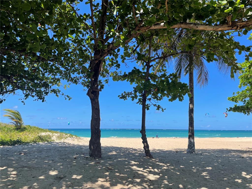 OCEAN PARK, STEPS TO BEST BEACH - Residential