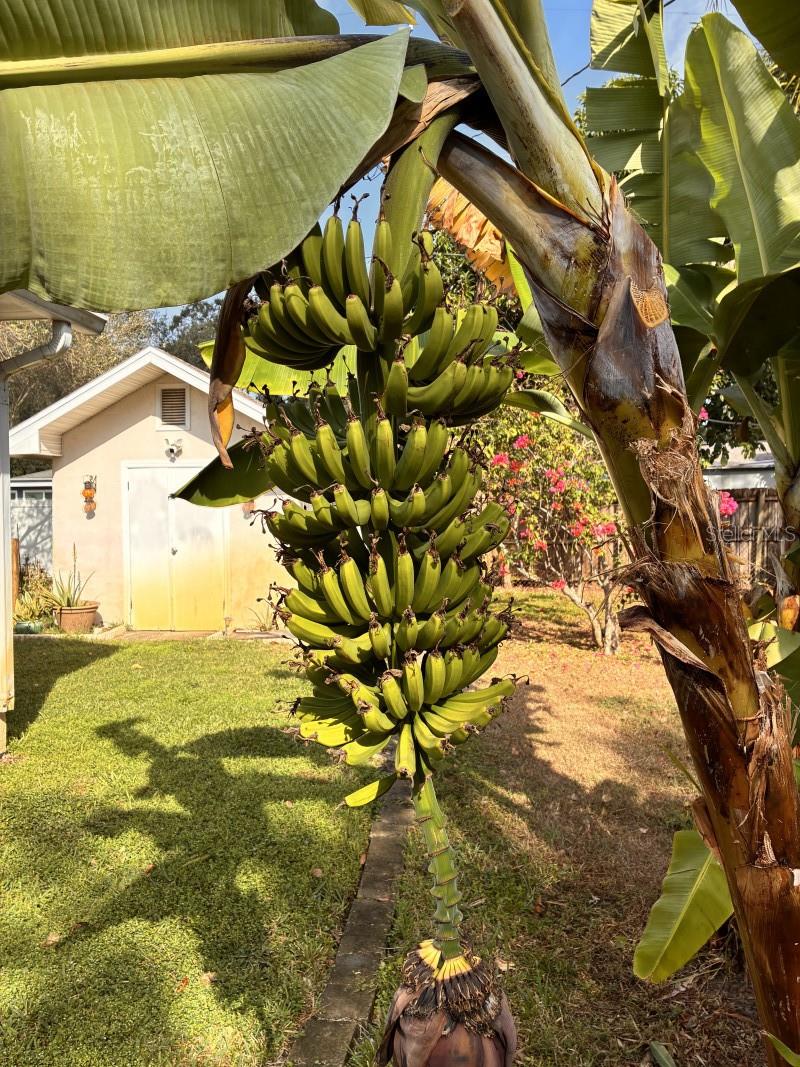 HIGHLAND LAKE SUB 3RD ADD - Residential