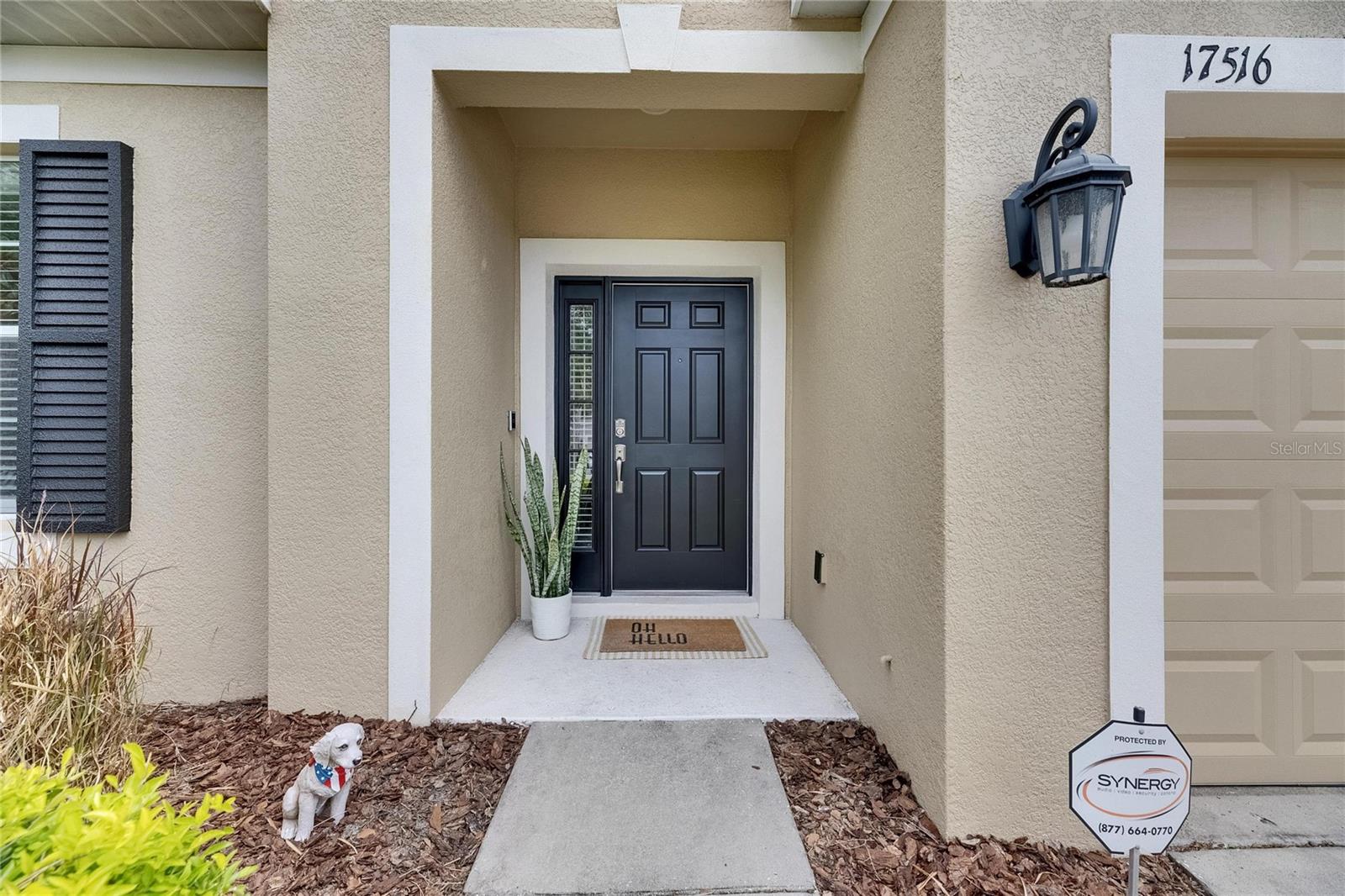 17516 BRIGHT WHEAT DRIVE