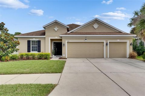 17516 BRIGHT WHEAT DRIVE LITHIA FL 33547