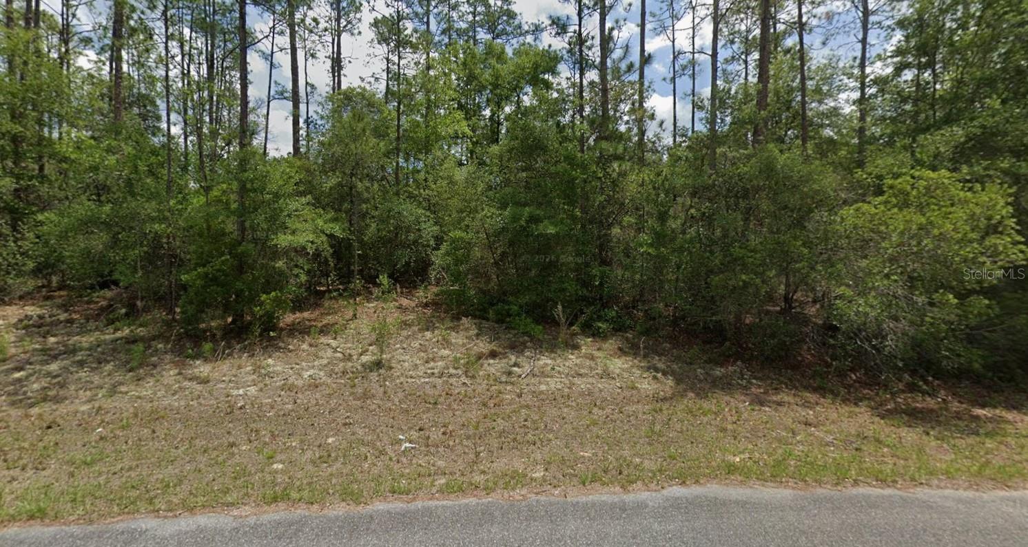 CITRUS SPGS UNIT 22 - Land