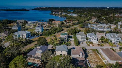 A home in PALM HARBOR