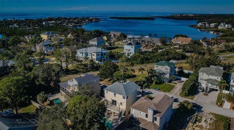 A home in PALM HARBOR