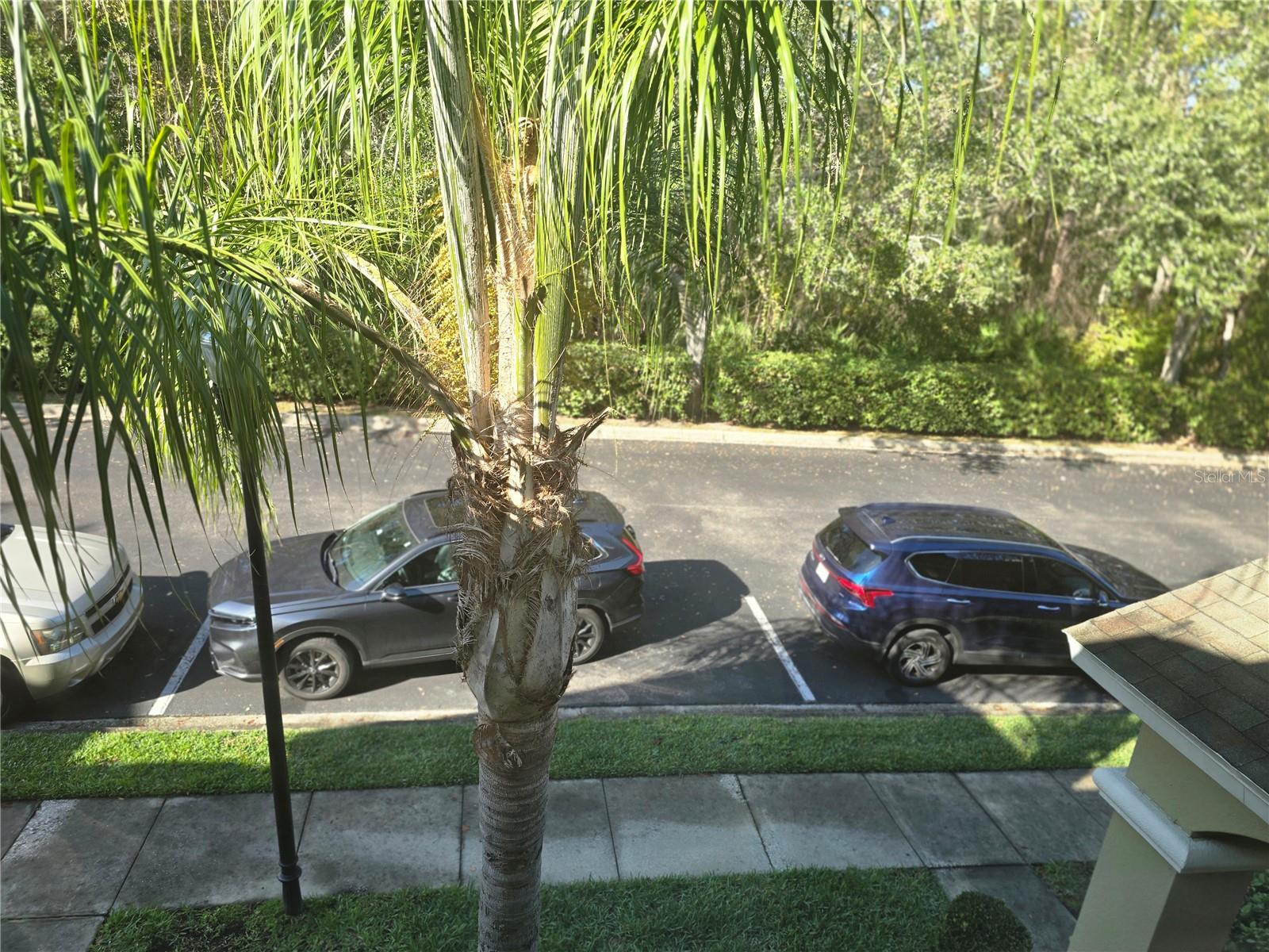 HAMPTON LAKES AT MAIN STREET - Residential