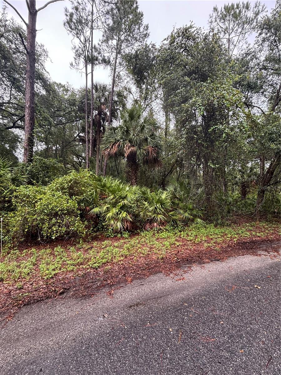 SILVER SPRINGS SHORES - Land