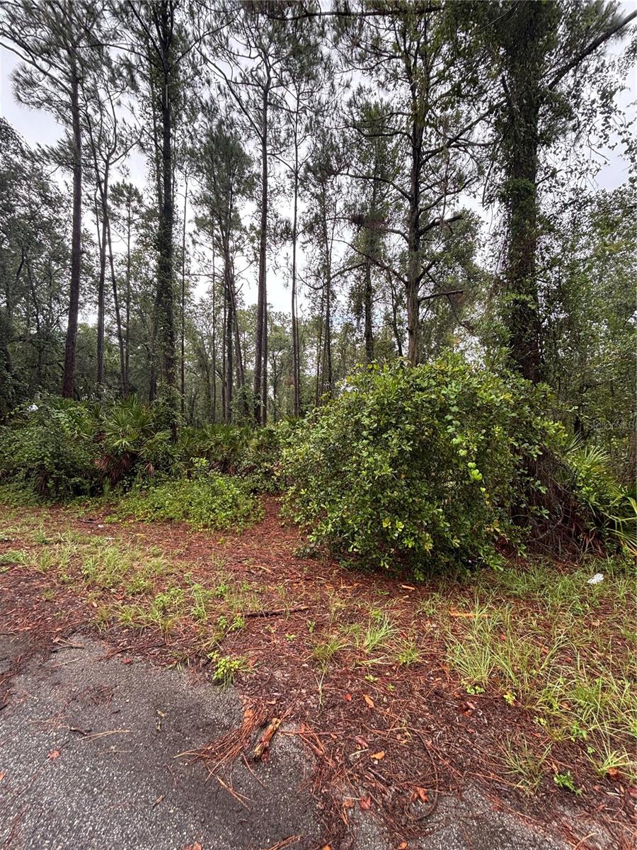 VACANT LOT!!! Come and Build your Dream Home. Very Quiet area and plenty of space between your neighbors.
The Corner Lot next to this is also available. (G5100151) Drive by and take a look at this beautiful piece of land.