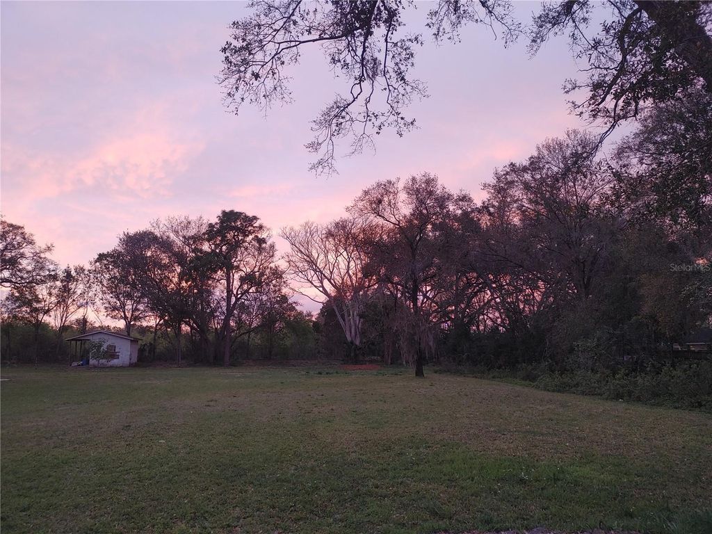 Photo of 215 W 131st Avenue, Tampa, FL 33612 (MLS # TB8353651)