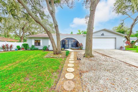 Photo of 8005 Dorado Court, Tampa, FL 33637 (MLS # TB8424817) Photo of 8005 Dorado Court, Tampa, FL 33637 (MLS # TB8424817)