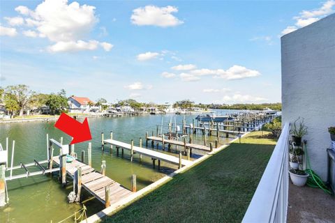 A home in INDIAN ROCKS BEACH