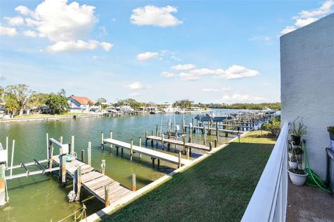 A home in INDIAN ROCKS BEACH