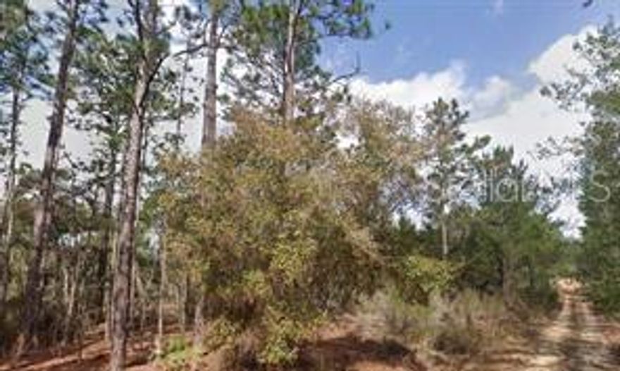 Secure your piece of the Florida lifestyle with this expansive double-lot property located in the serene Lake Lucy Manor. These two side-by-side parcels (Lots 19 & 20) offer a unique opportunity for extra privacy, a larger homesite, or a smart investment in one of Florida’s most affordable emerging markets.  You are just minutes away from Lake Lucy and Lake LaGonda, known for excellent fishing, kayaking, and picnicking.  Just 5 minutes to Hitchcock’s Market and 10 minutes to local favorites like Nanna's Country Cafe.  Approx. 20 minutes to Palatka, 45 minutes to Gainesville, and an hour to the Atlantic beaches or Jacksonville. The dimensions are both lots combined and are approximate.  The price is for both lots.  All information provided is deemed reliable but is not guaranteed and should be independently verified.