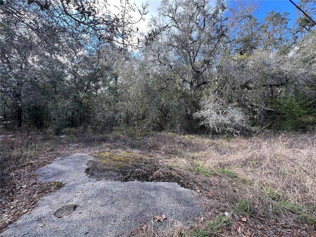 Photo of Unknown Hays Road, Hudson, FL 34669 (MLS # TB8354401)