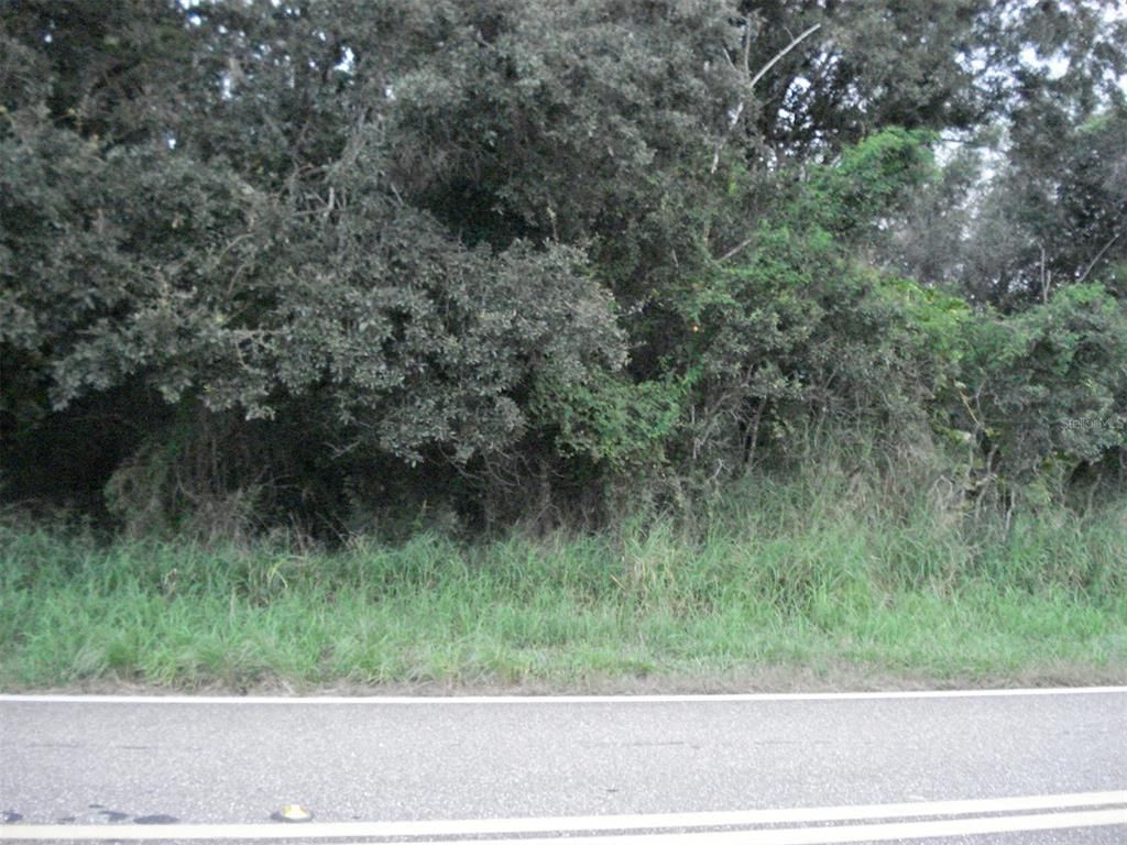 Photo of Avon Park Cutoff East Road, Frostproof, FL 33843 (MLS # L4925544)