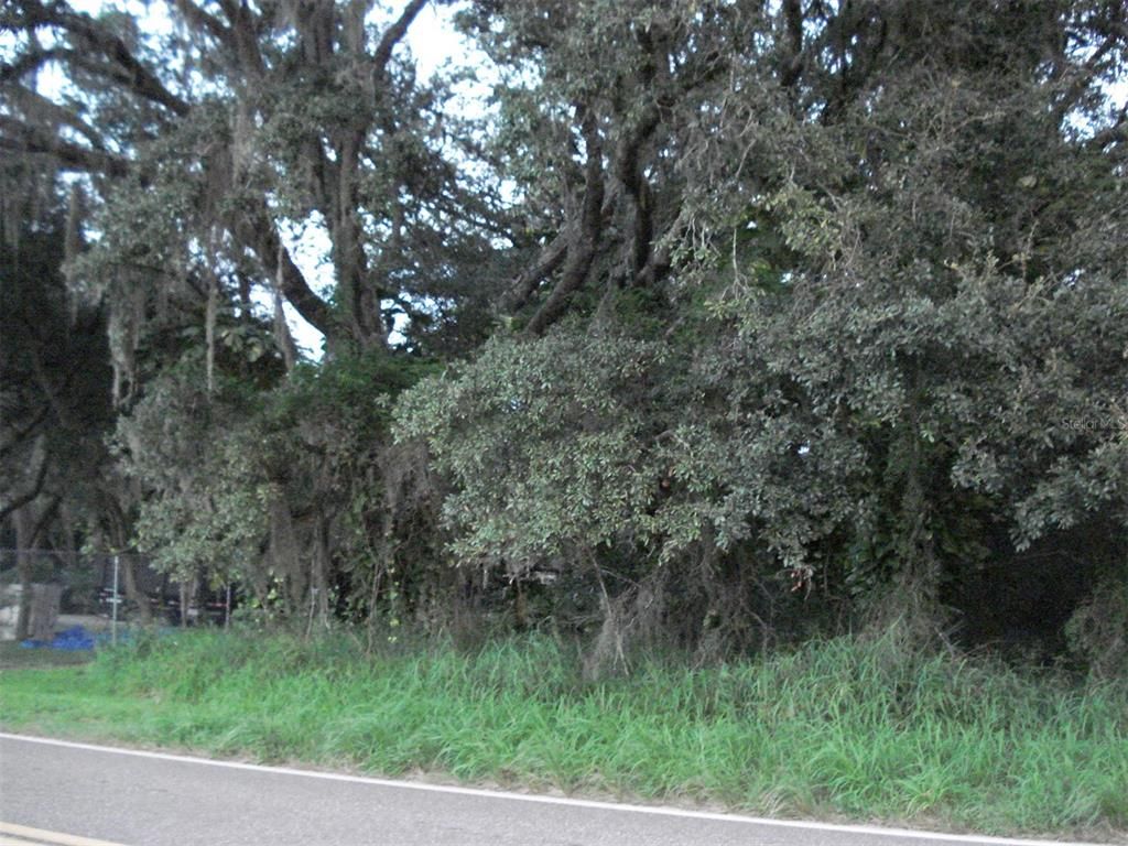 Photo of Avon Park Cutoff East Road, Frostproof, FL 33843 (MLS # L4925544)