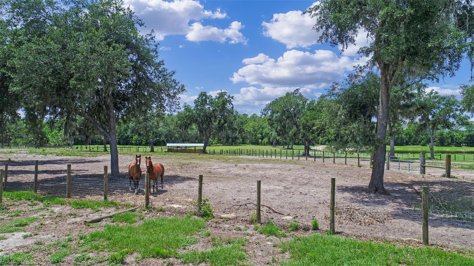 4940 STATE ROAD 11
