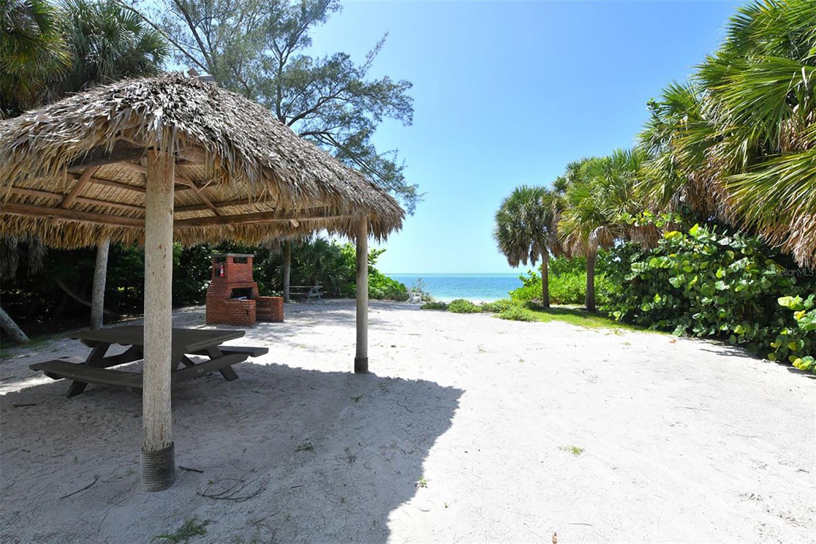 OCEAN BEACH REP - Residential