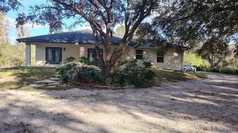 A home in PLANT CITY