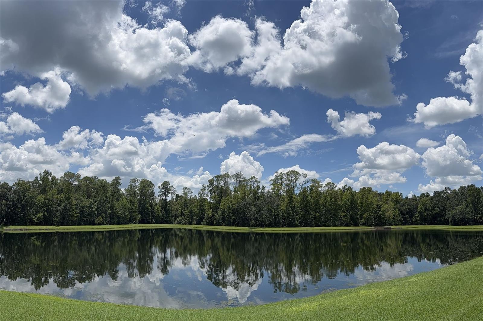 CELEBRATION - Residential