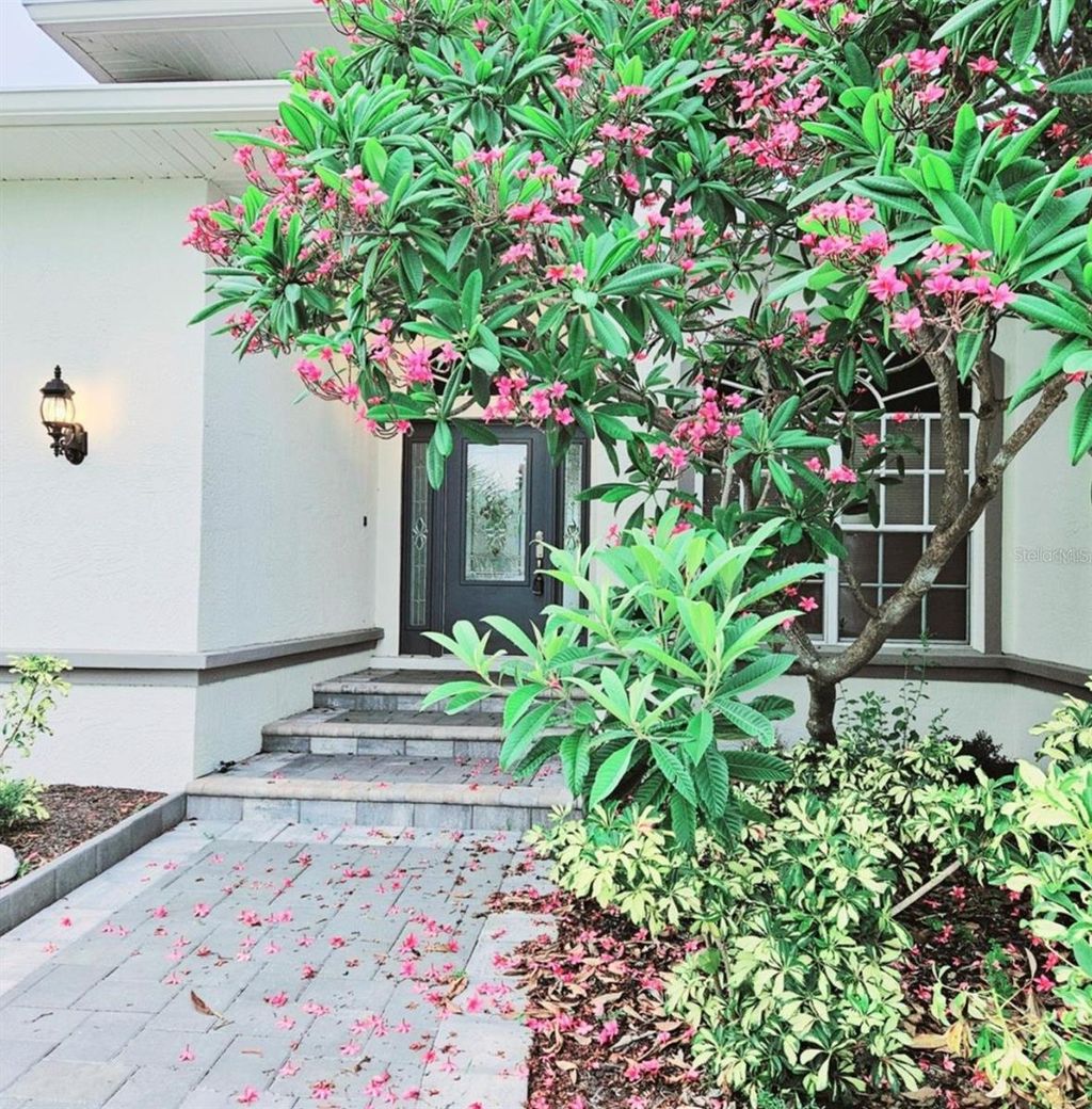 Photo of 1415 Beach Club Ln, Apollo Beach, FL 33572 (MLS # TB8382493)