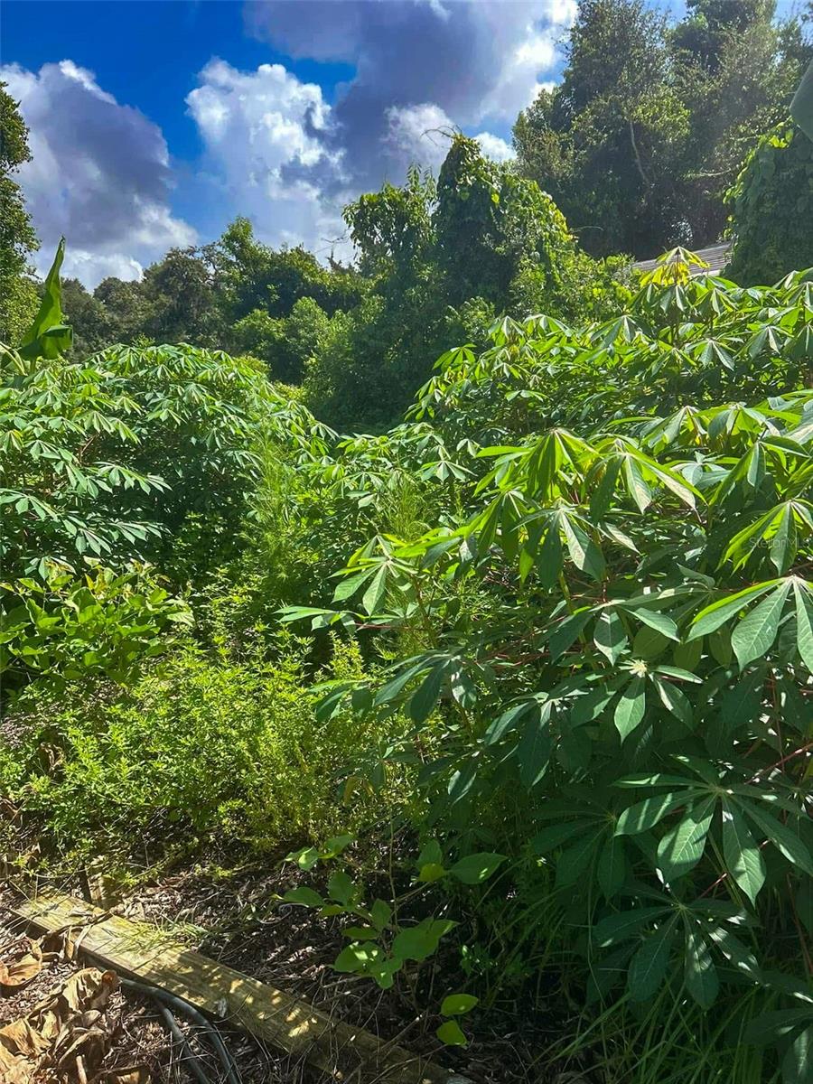 ORLANDIA HEIGHTS UNREC 241 - Residential