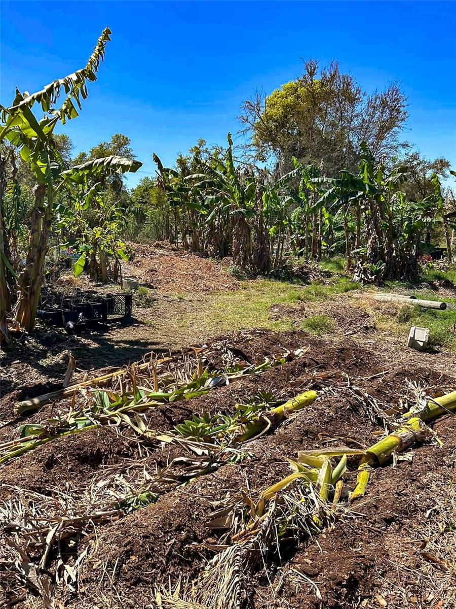 ORLANDIA HEIGHTS UNREC 241 - Residential