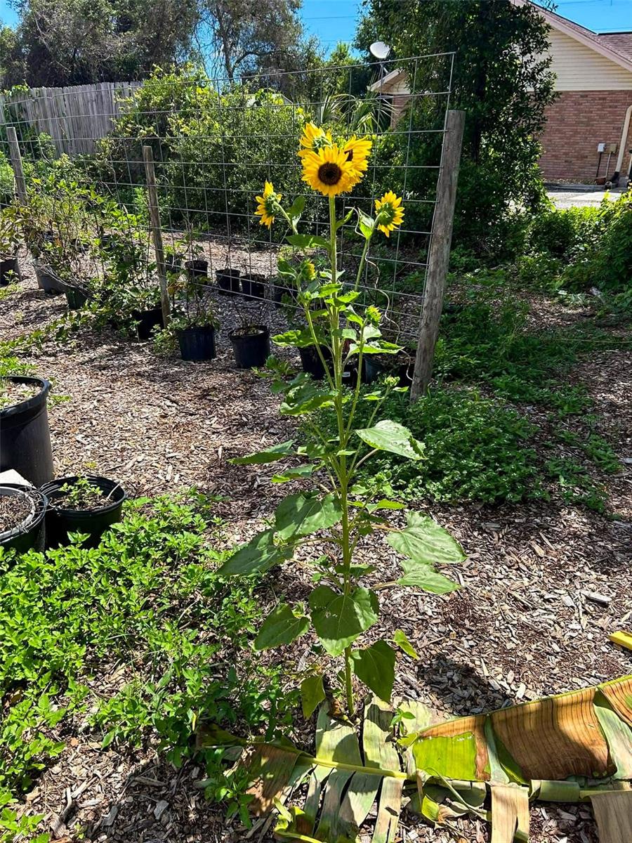 ORLANDIA HEIGHTS UNREC 241 - Residential