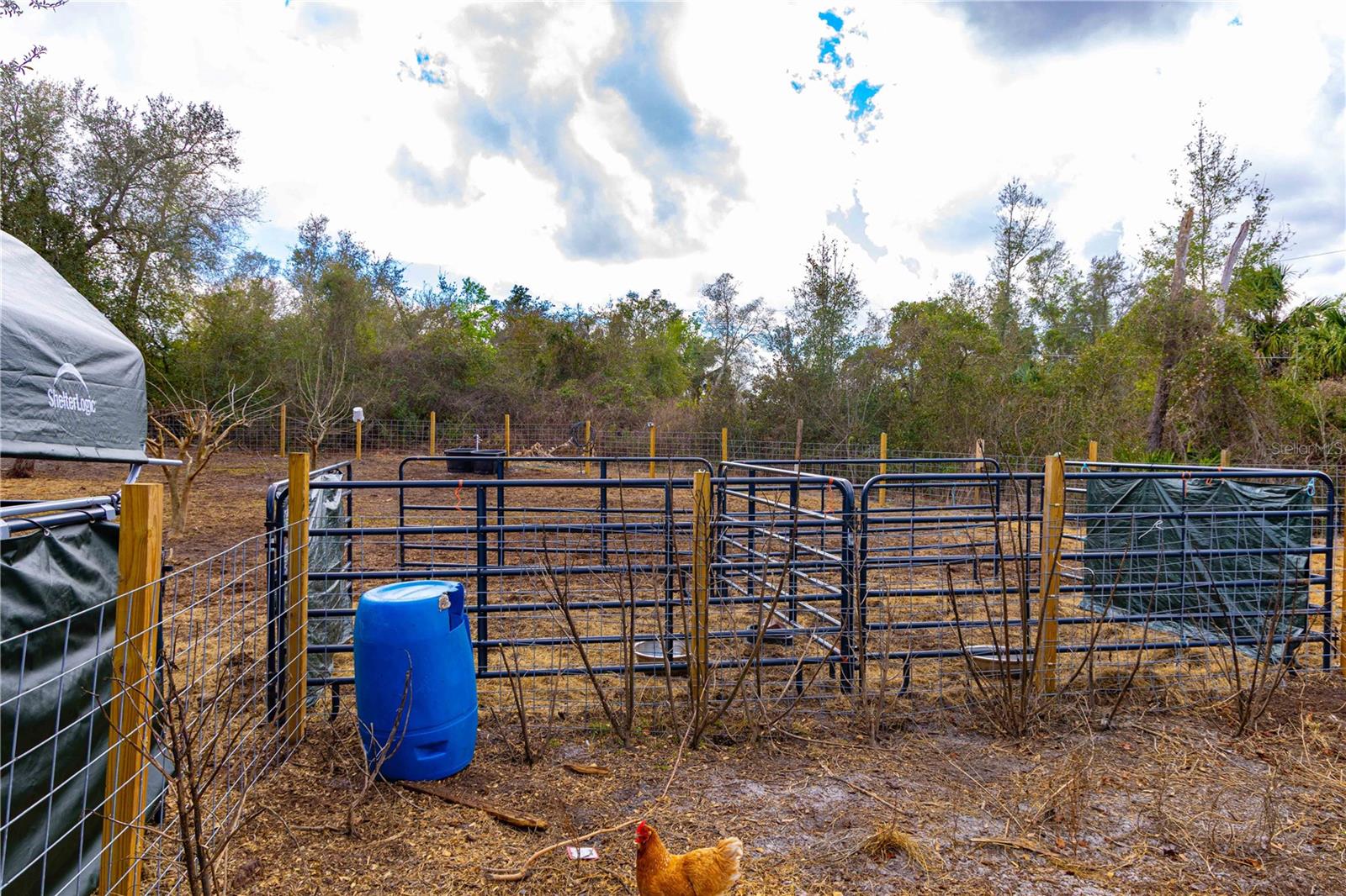 ORLANDIA HEIGHTS UNREC 241 - Residential