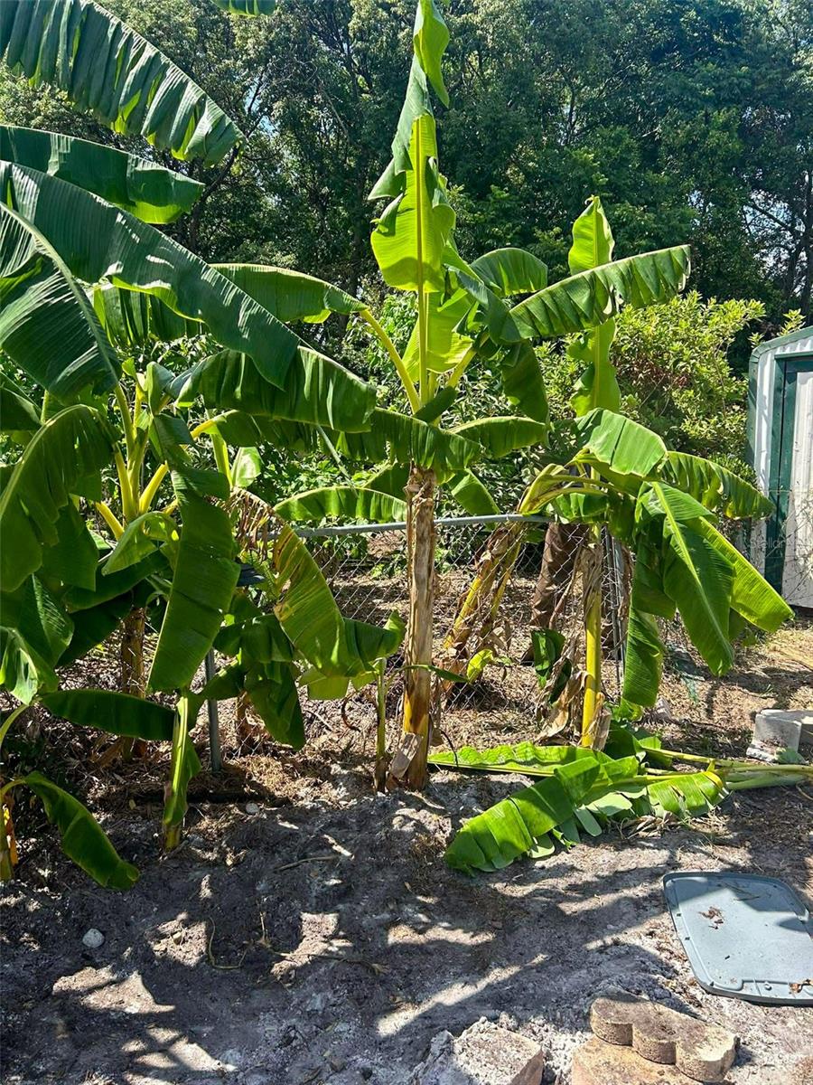 ORLANDIA HEIGHTS UNREC 241 - Residential