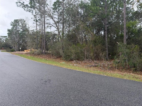 Tiny photo for 0000 Fir Drive Track Trak, Ocala, FL 34472 (MLS # O6390281)