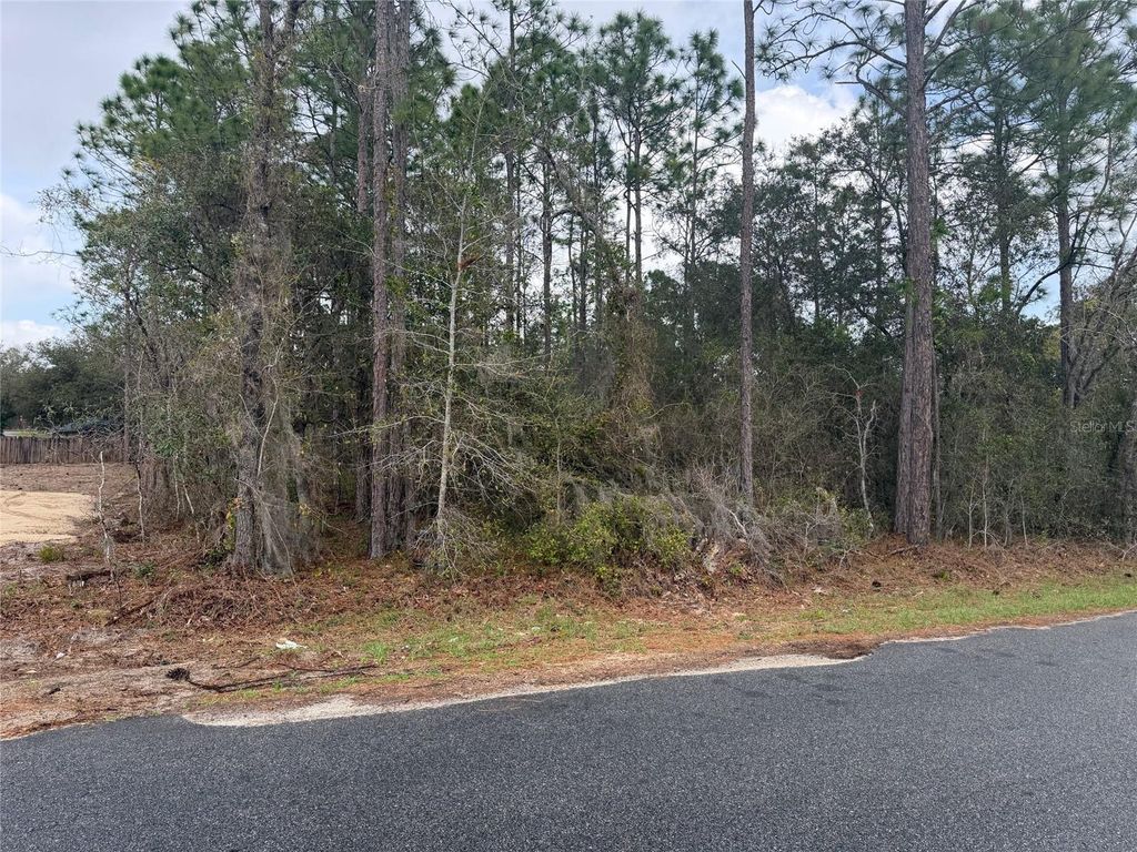 Photo of 0000 Fir Drive Track, Ocala, FL 34472 (MLS # O6390281)