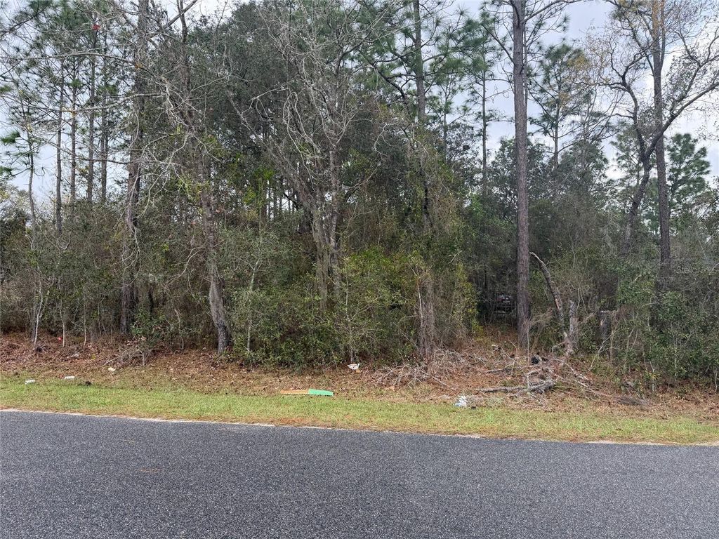 Photo of 0000 Fir Drive Track, Ocala, FL 34472 (MLS # O6390281)