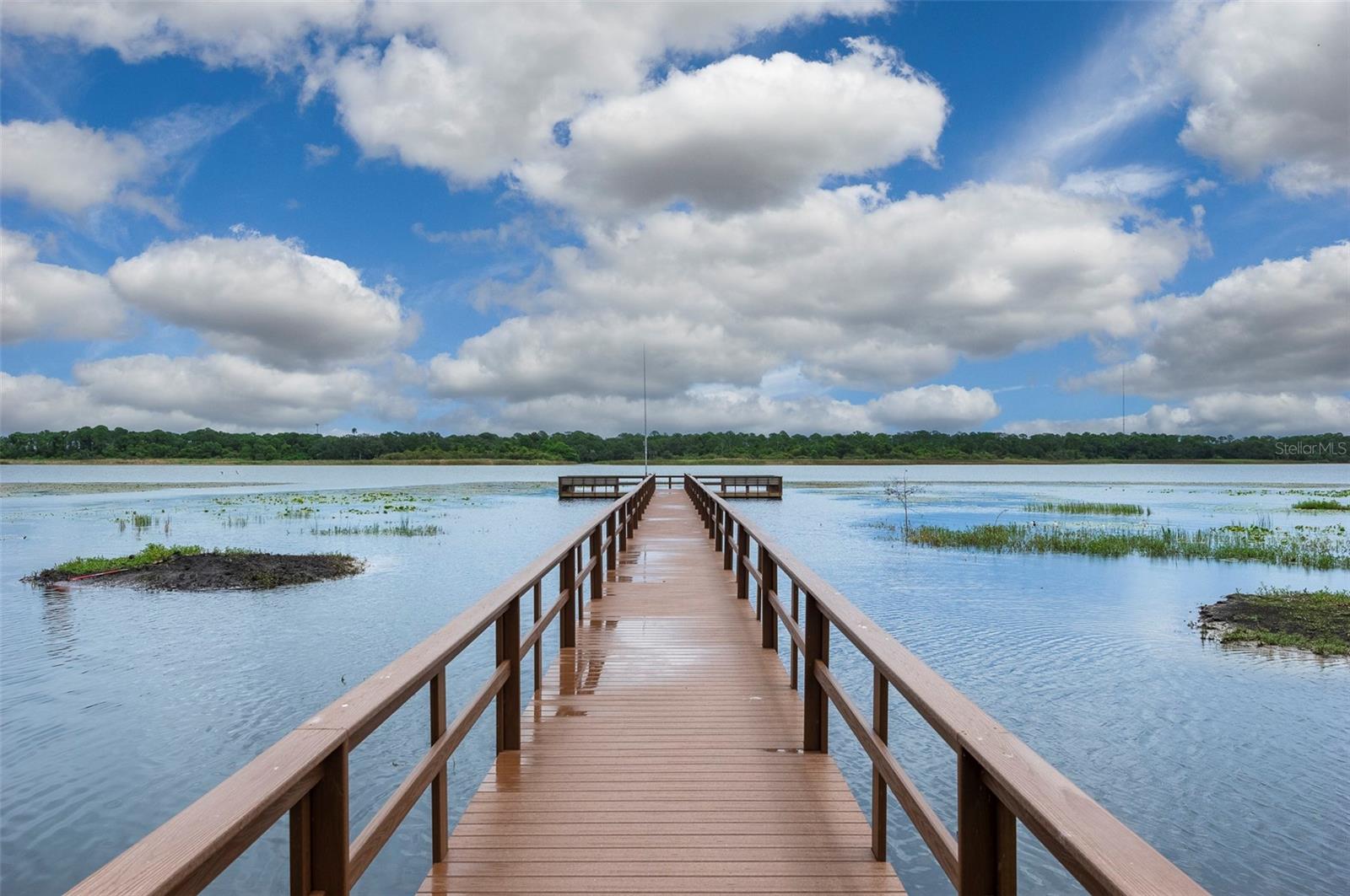 TOWNHOMES OF LAKE SEMINOLE - Residential Lease