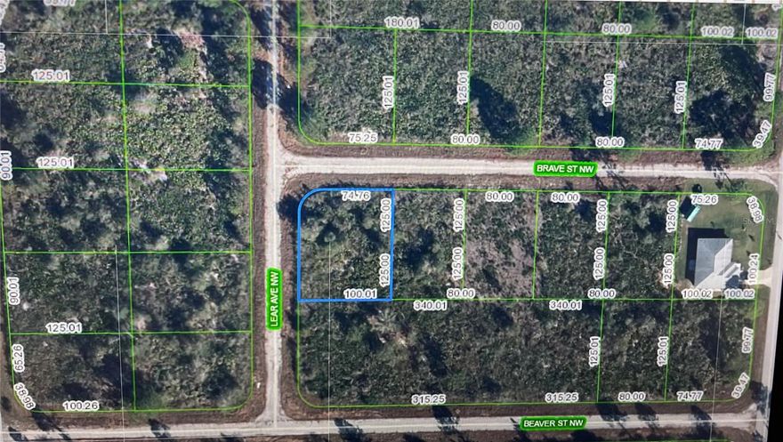 Great .29 acre corner lot located in the Placid Lakes subdivision. This lot is perfect for your dream home or a spec home with plenty of room for a pool. Easy access to shopping, schools and the highways.