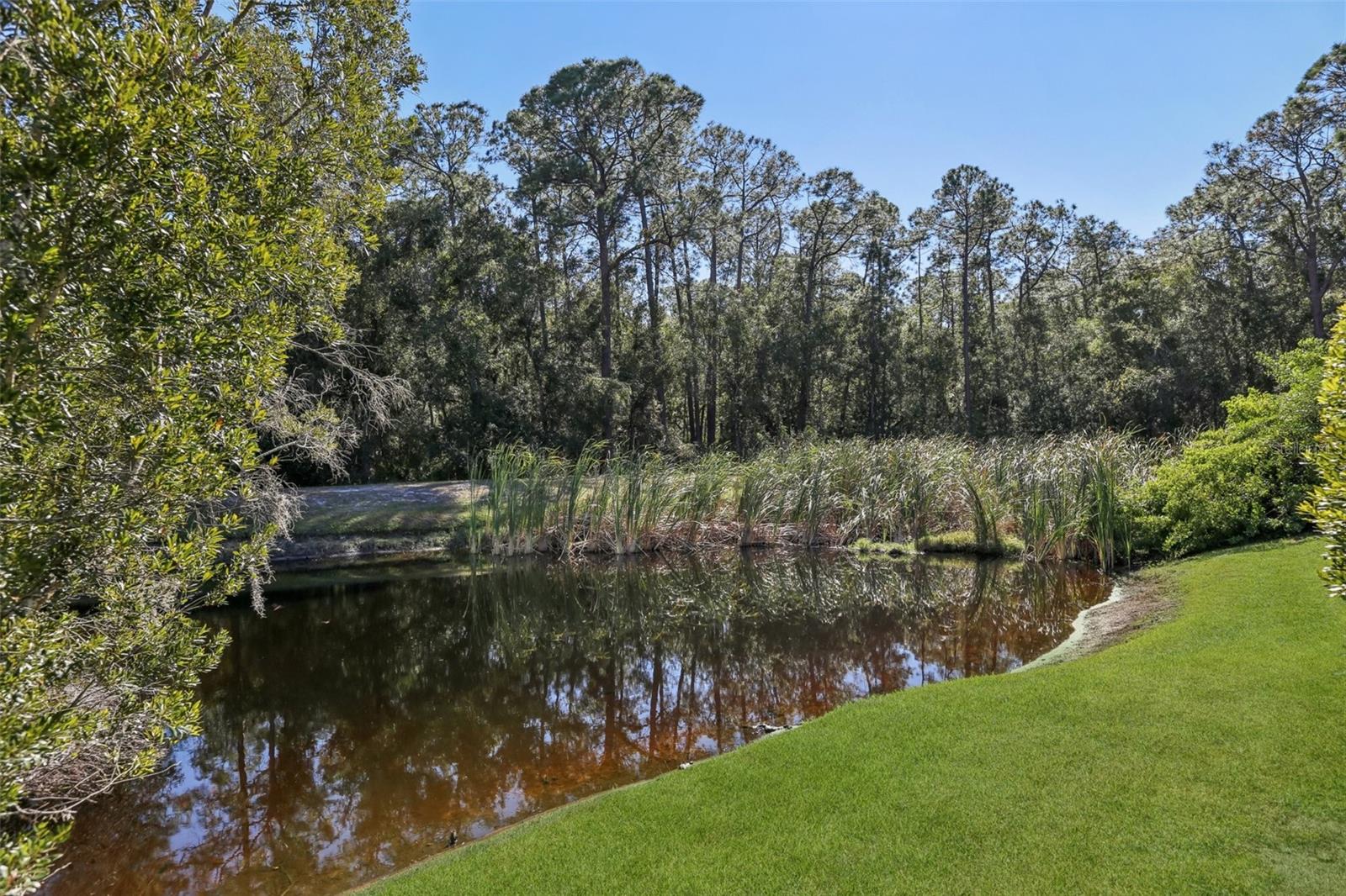 CALF PATH ESTATES - Residential